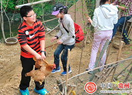 常州生态休闲观光农业 六种休闲活动打造田园诗意生活