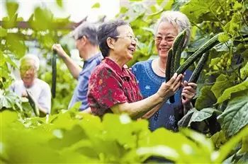 养生农业 乡村旅游发展的新蓝海与商机